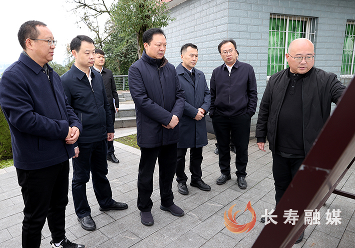 江夏调研文旅产业发展 (1)