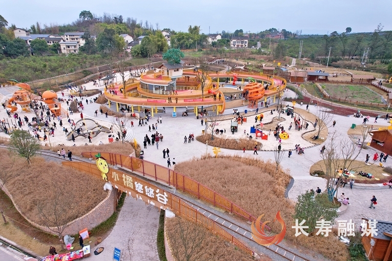 QQ图片20250113231141