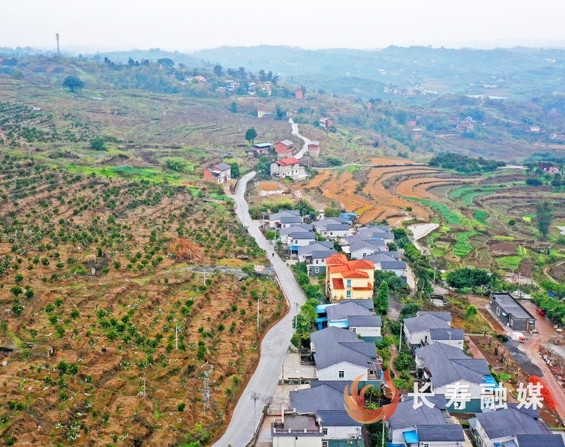 石堰:“笔走龙蛇”绘就乡村新“途”景1