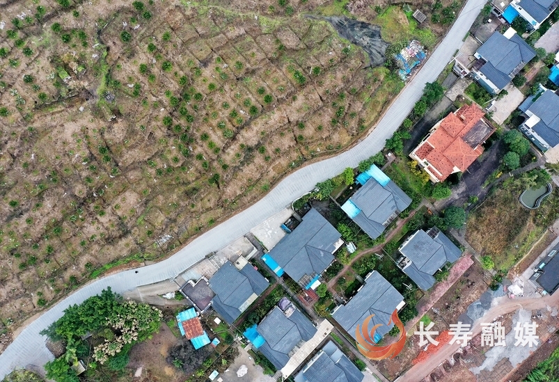 石堰：“笔走龙蛇”绘就乡村新“途”景2