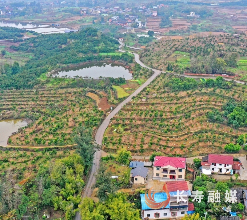 石堰：“笔走龙蛇”绘就乡村新“途”景3