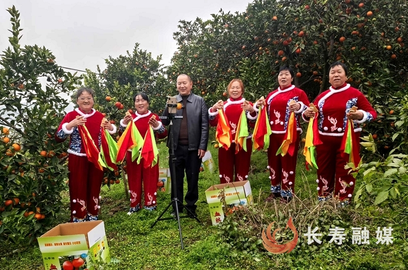 重庆好人曹礼远开直播卖柑橘2