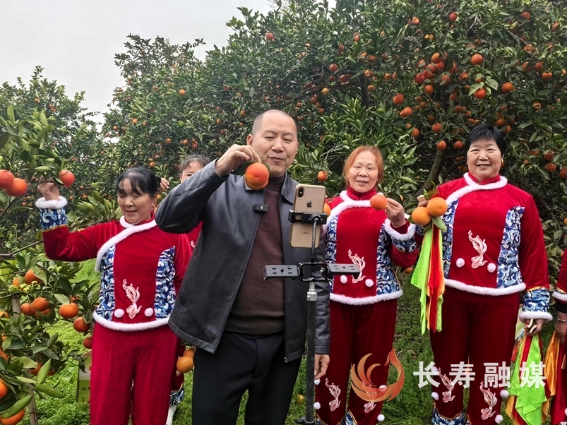 重庆好人曹礼远开直播卖柑橘1