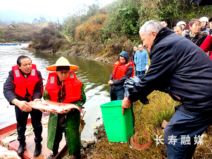 村集体经济“鱼”跃龙门 村民喜领暖心过年鱼 (2)