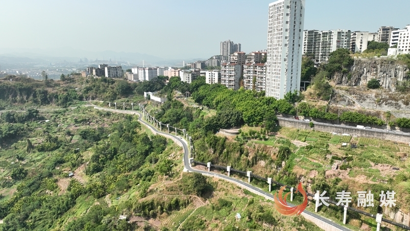 长寿:用心用情书写温暖民生答卷5