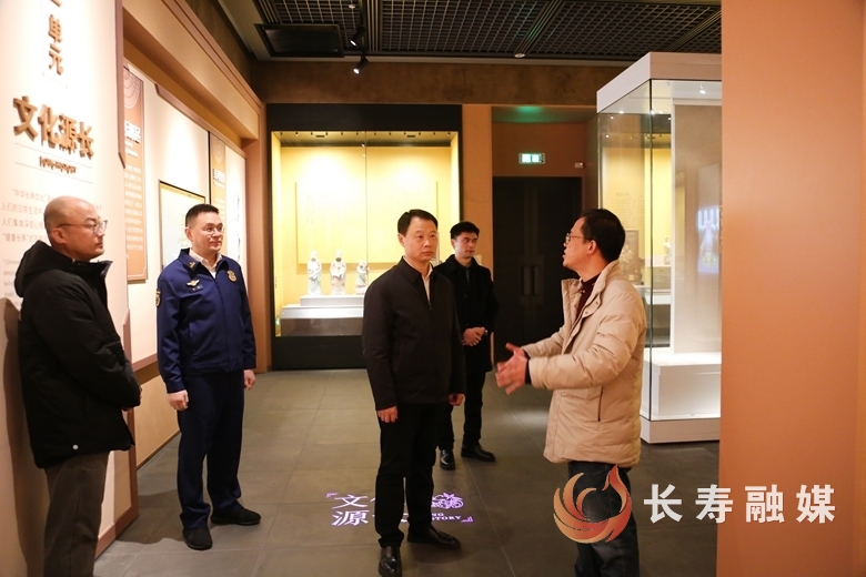 區領導帶隊開展安全檢查2