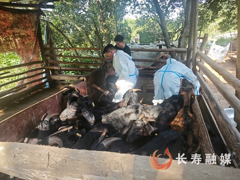 上门服务 “一场一策” 打好秋季防疫“主动仗”1
