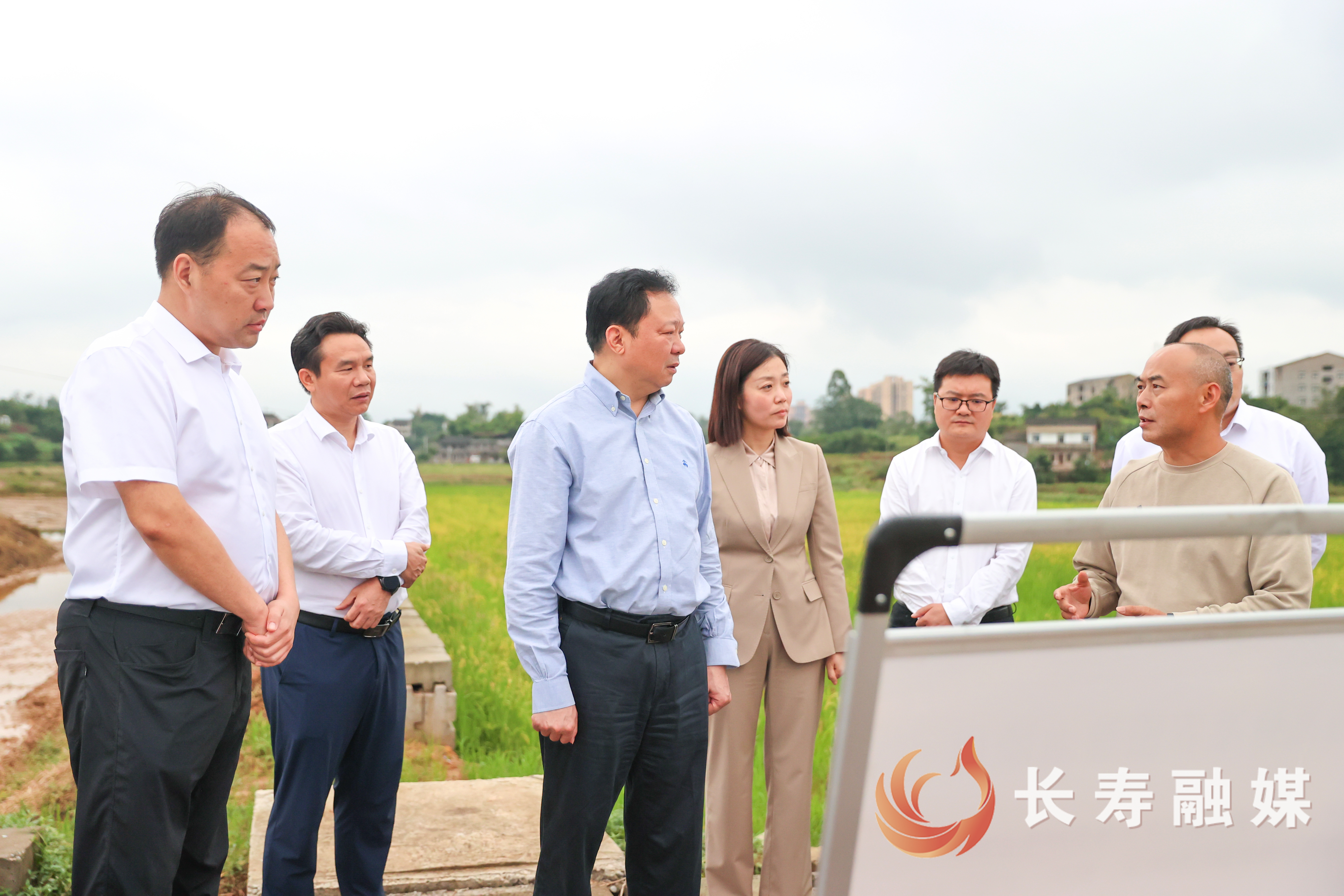 江夏带队到龙河镇、海棠镇调研1