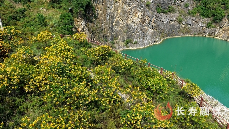 金龙村郊野公园上新景2