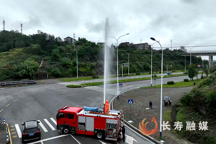 路灯杆上马蜂窝扰民长寿应急快速除隐患 (1)