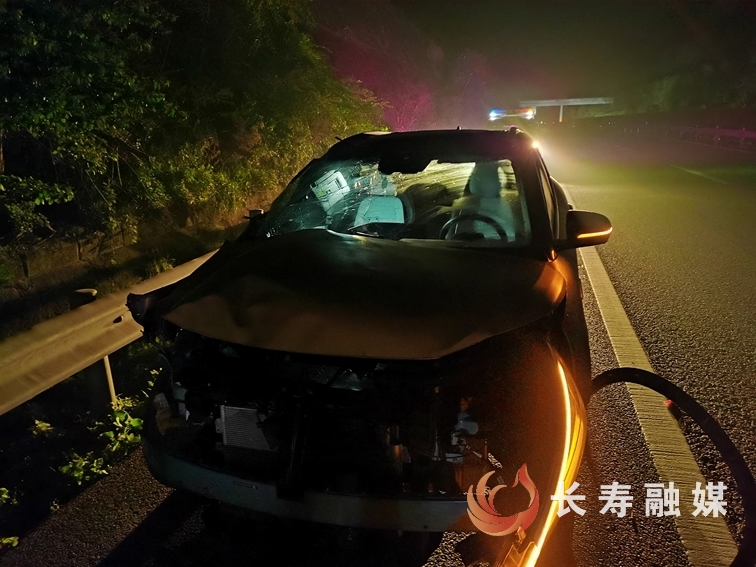交通事故后“逃离”现场1