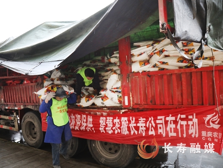 全区化肥储备充足3