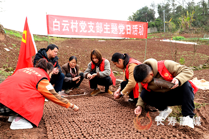 志愿服务助春耕不误农时不负春 (1)