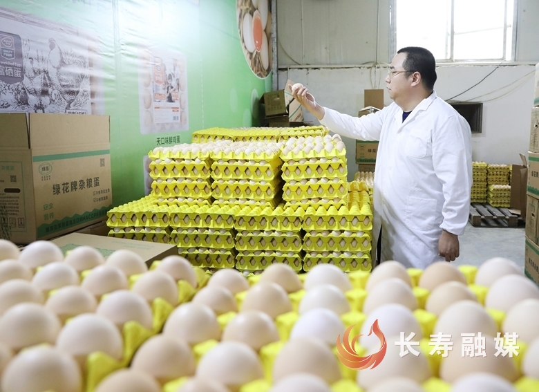长寿：培育壮大民营经济 打造高质量发展新优势4