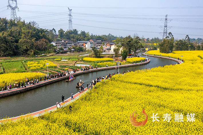 纳溪河赏花+李炎 (2)