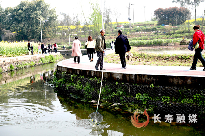 新市沿河巡查动态清漂