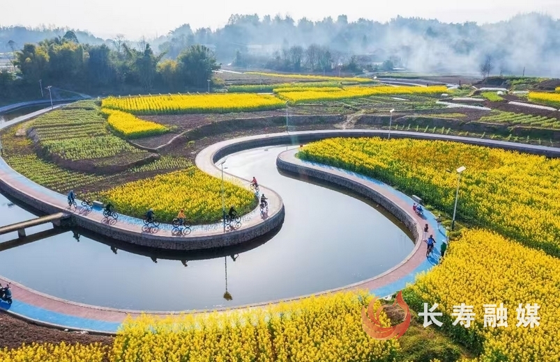 新市首届油菜花节全攻略图4