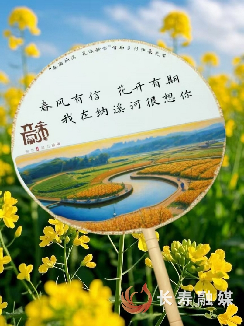 新市首届油菜花节全攻略图3