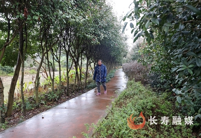 李伟4