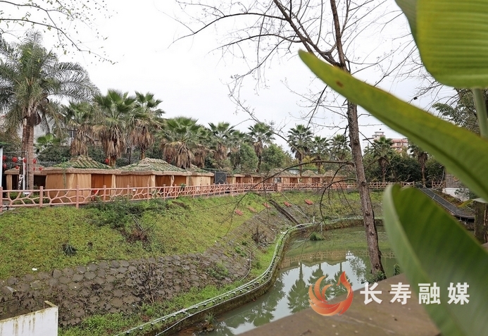 李伟