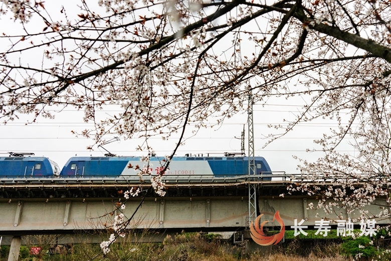 开往春天的列车+廖涛3