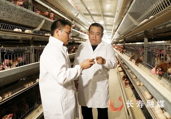 長壽：全力以赴做好三農各項工作3