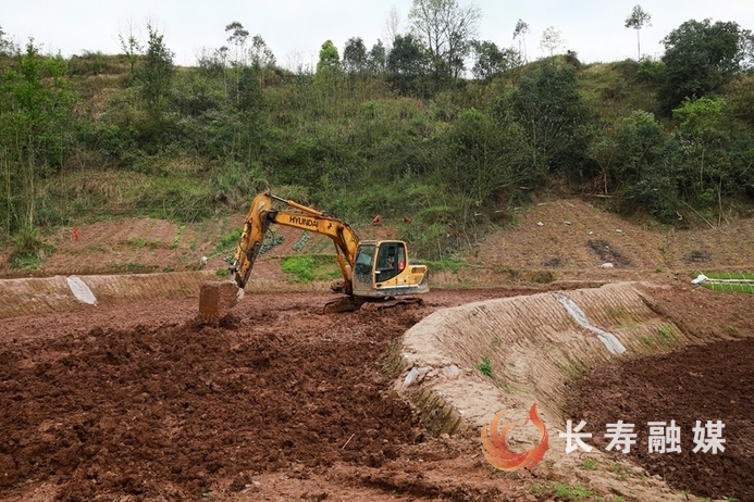 長壽：全力以赴做好三農各項工作4