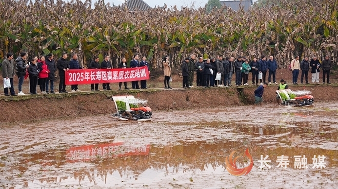 長壽：全力以赴做好三農各項工作2