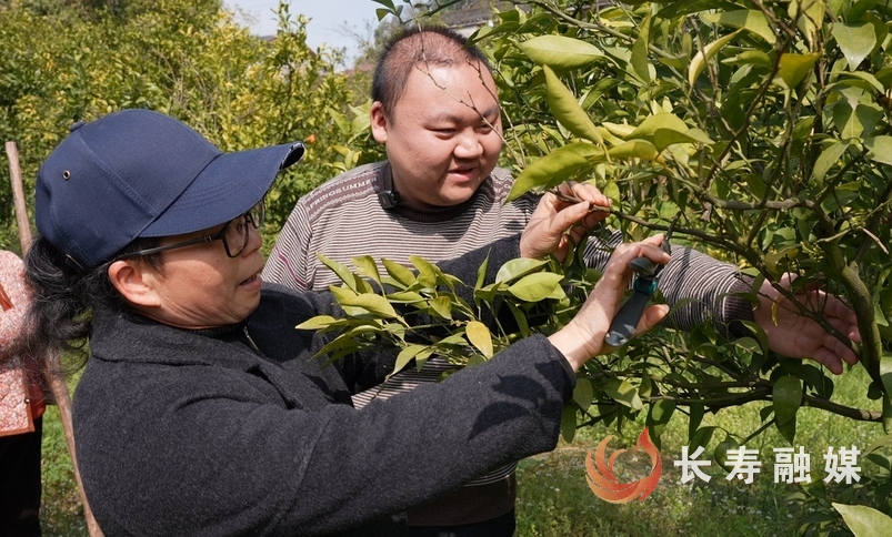龙河：技术送上门 提高农妇果园管护技能2
