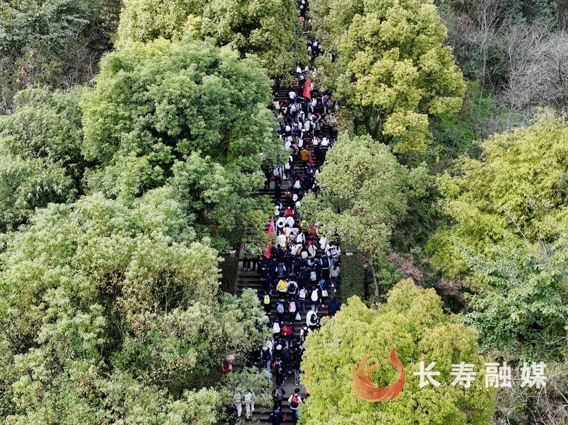 实验中学徒步+向前