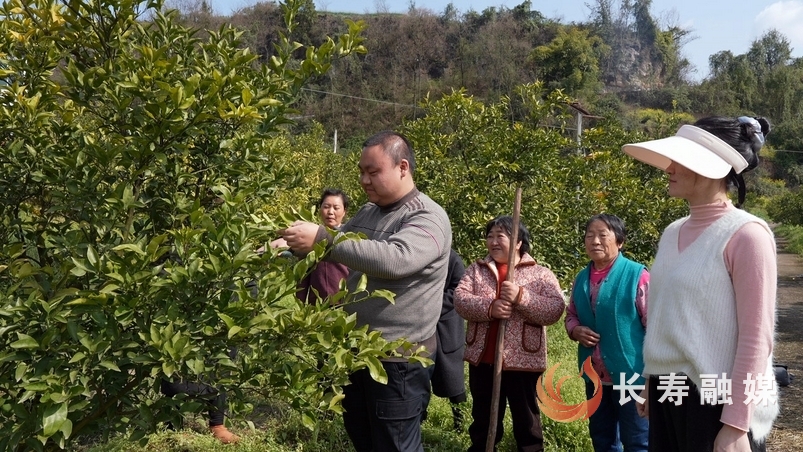 龙河:技术送上门 提高农妇果园管护技能