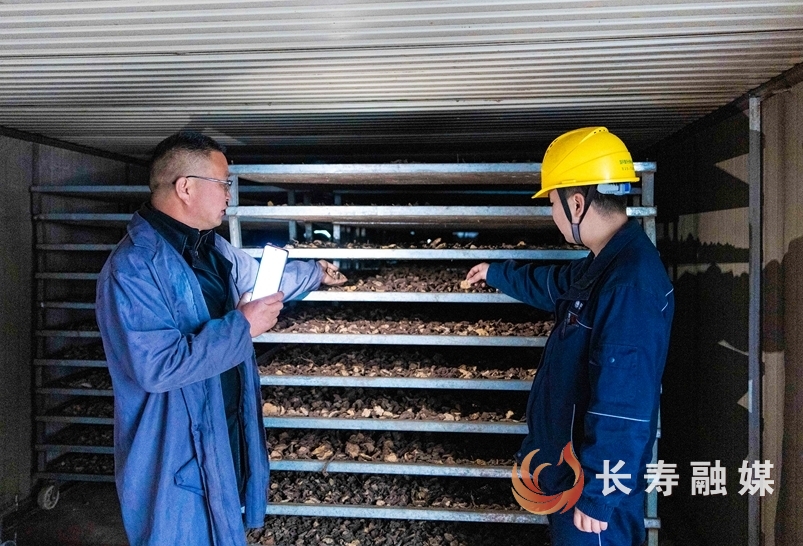 国网长寿供电：冒雨作业解急难3