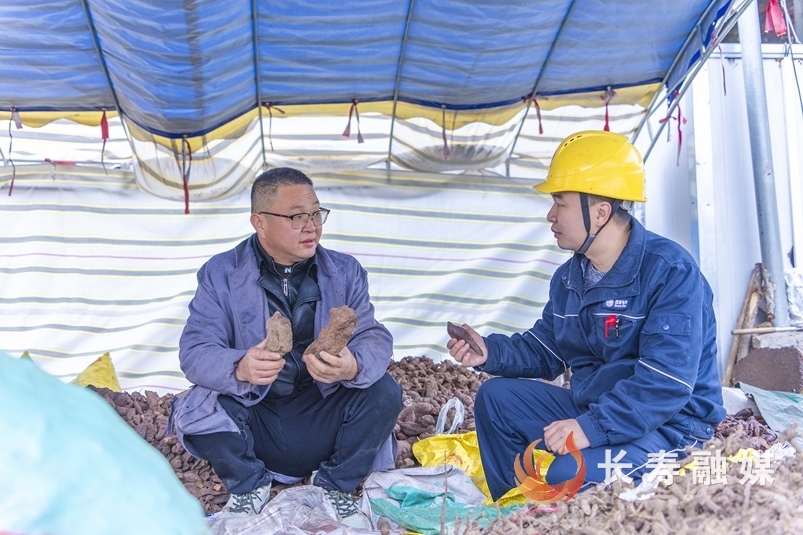 国网长寿供电:冒雨作业解急难2