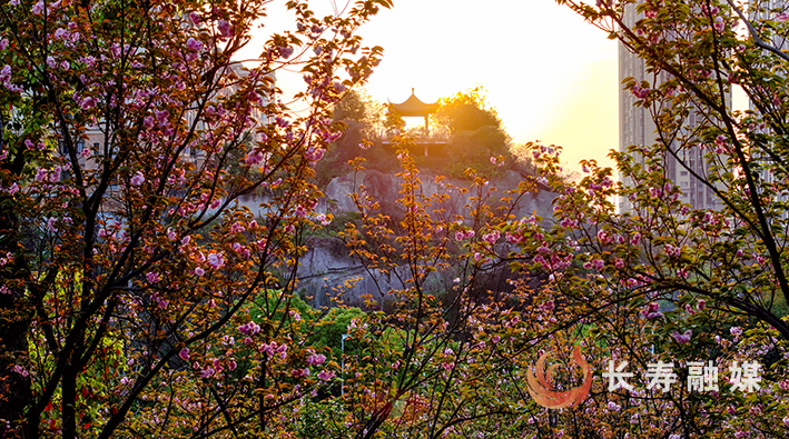 桃花公园古韵悠然 (3)