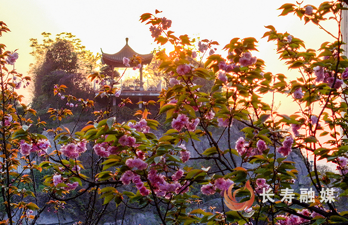 桃花公园古韵悠然 (1)