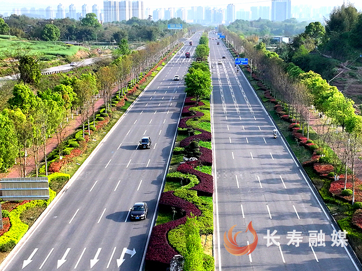 阳光下北城大道+何利 (1)