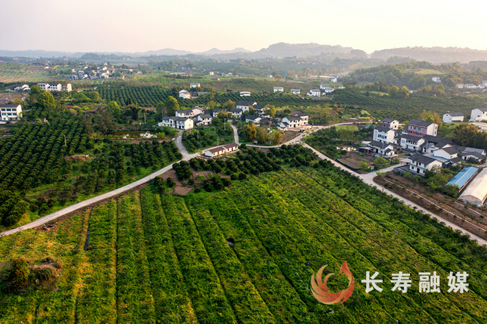 长寿慢城晨昏+李炎 (4)