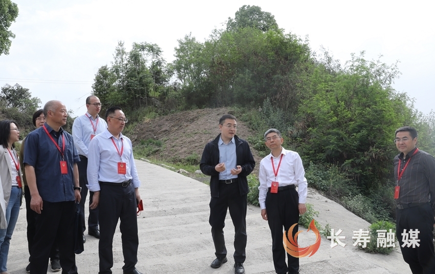 “渝事好商量”协商推进乡村公路维修整治1