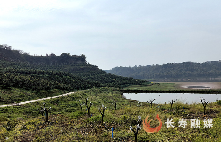 全市首笔全域土地综合整治贷款在长落地
