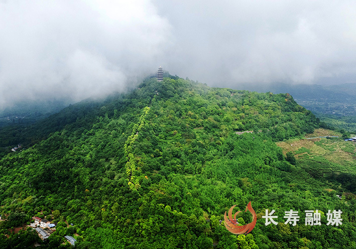 煙雨菩提山+袁志龍 (1)