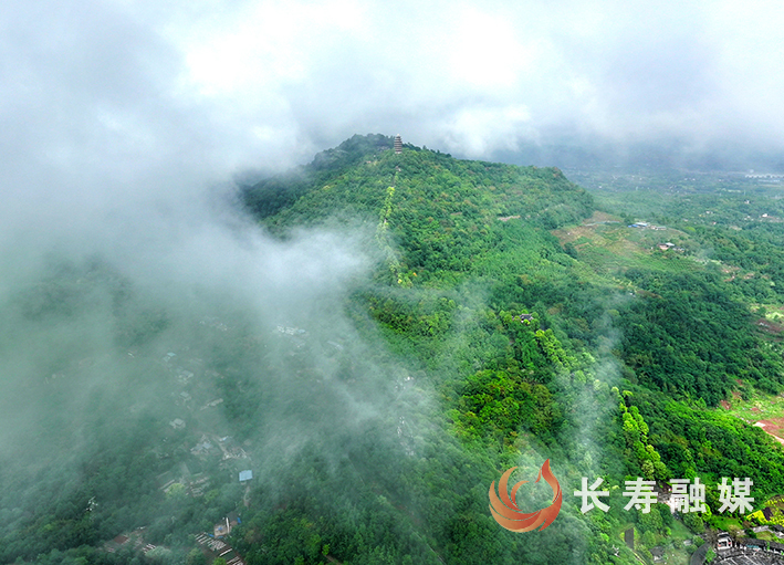 煙雨菩提山+袁志龍 (2)
