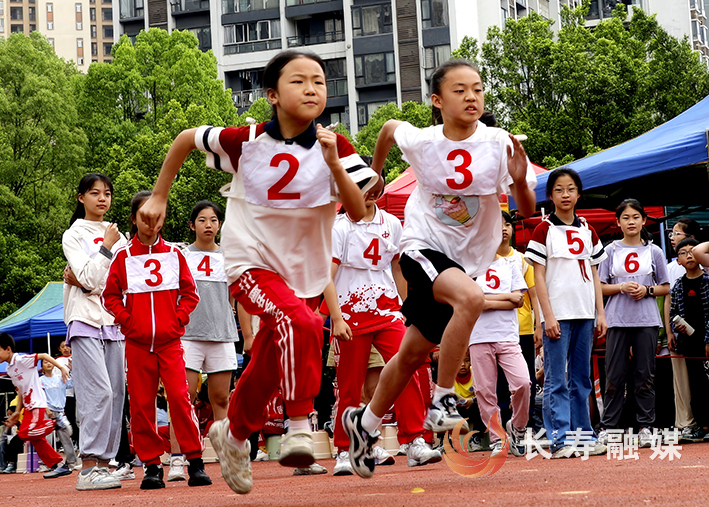 桃源小学举行春季运动会 (5)