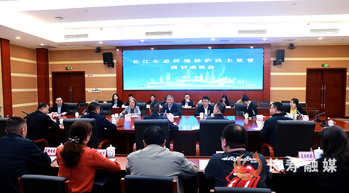 台盟上海市委会一行来我区开展长江生态环境保护民主监督 (1)