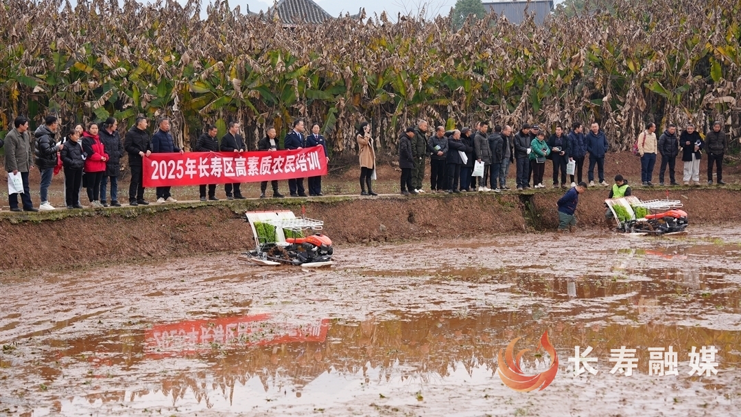城乡融合绘新景 乡村振兴正当时1