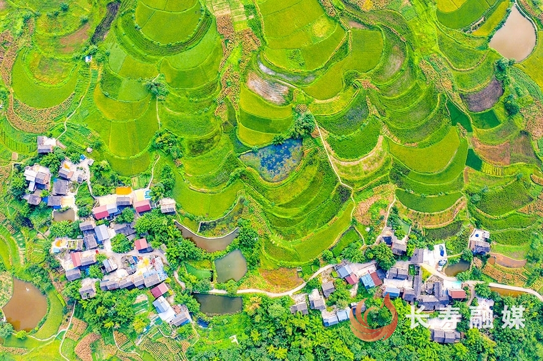 城乡融合绘新景 乡村振兴正当时 李炎