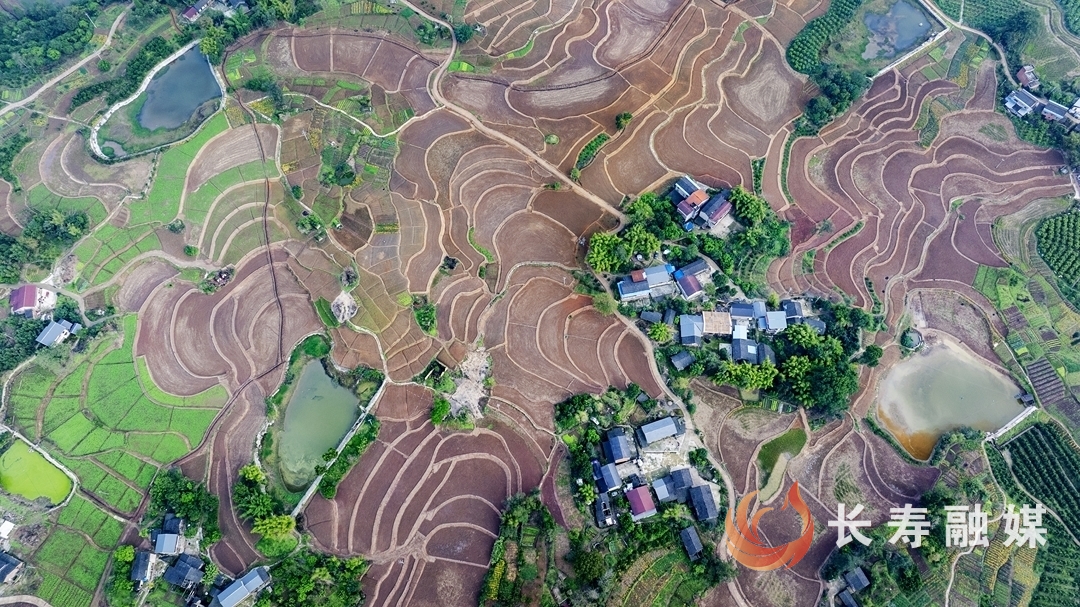 城乡融合绘新景 乡村振兴正当时3
