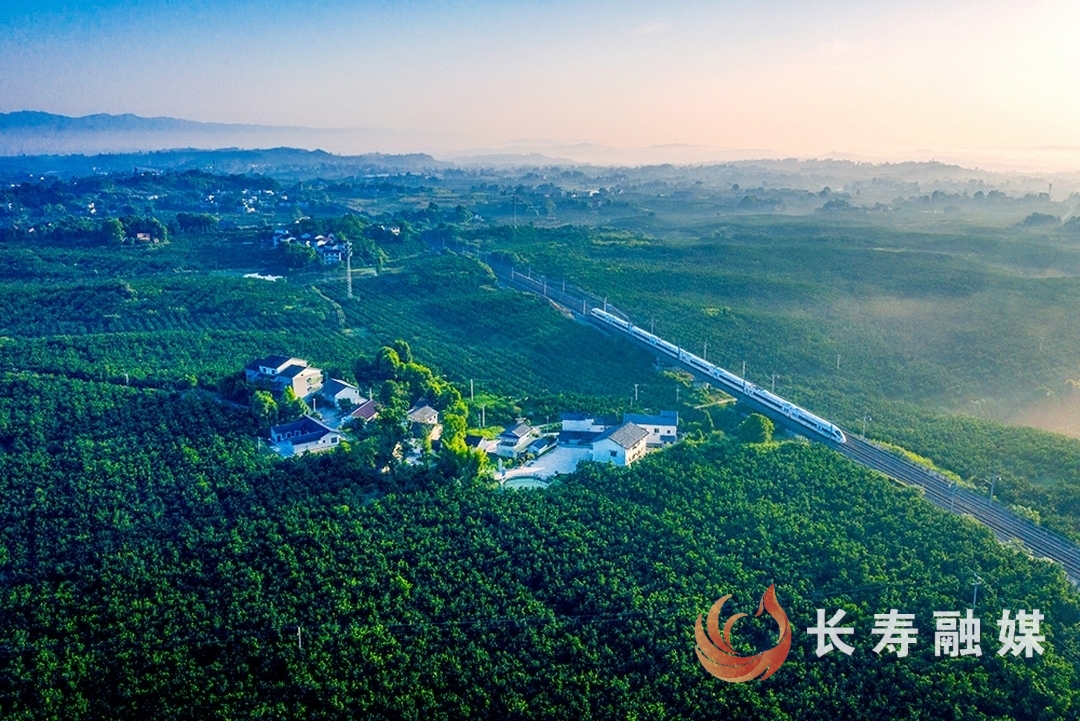城乡融合绘新景 乡村振兴正当时