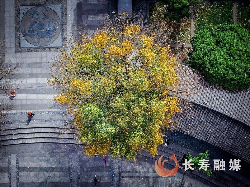 摄影家眼中的春日美景+张颂东