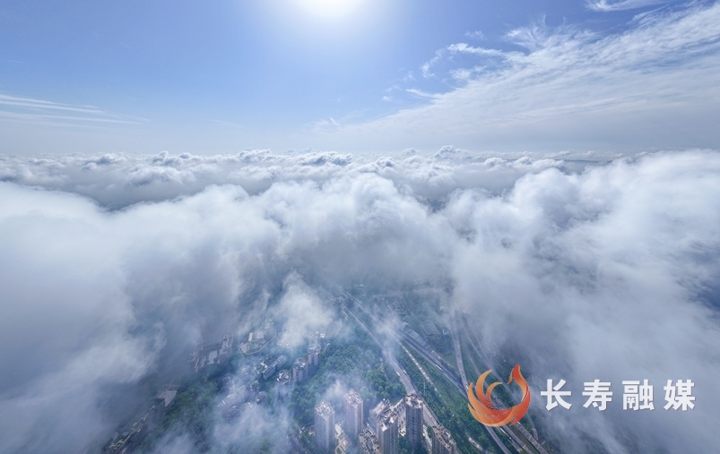 云端长寿美出圈2