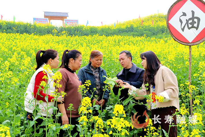葛兰镇护航春耕促生产 (3)